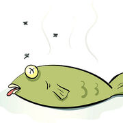 netflix@clearspirecore.uk