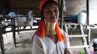 ThaiGirlsWild Daisy WRB