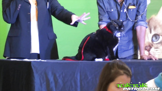 TukTukPatrol Nanas ANAL episode Welcome to Thailand Narcos