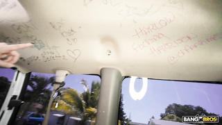 BangBus Lauren Phillips WRB