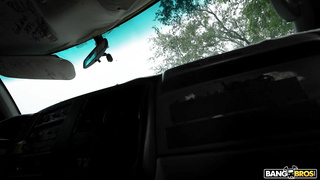 BangBus Harper Hill WRB