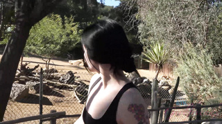 ATKGirlfriends Rosalyn Sphinx