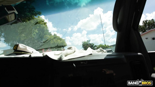 BangBus Juniper Ren WRB