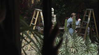 NewSensations Annie King WRB