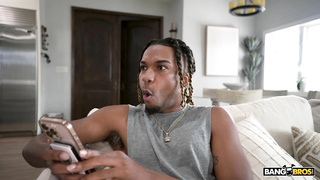 BrownBunnies Jazz The Stallion WRB