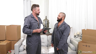 Work Hard, Fuck Hard