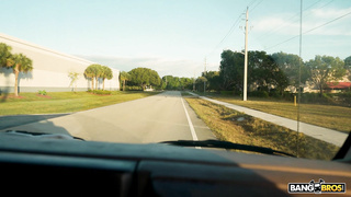 BangBus Chloe Adams WRB