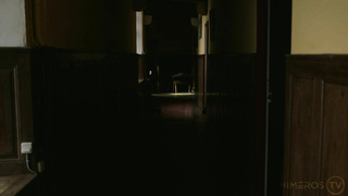 Scott Wild & Parker Inkd