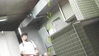 netcruising collection 2026 (1)