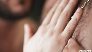 Portuguese Sir Peter, Italian Alex Palmieri & Russian Tom Storm