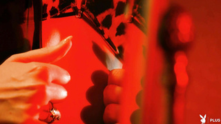 PlayboyPlus Sophia Mae Amber Allure WRB