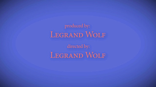 Dr. Wolf's Exams Vol 1 Ch 4