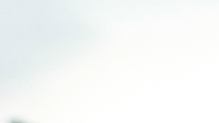 Coached then bred (Dragon Rojo & Ricky Hard)