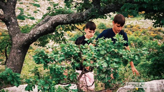 French-Twinks Exhib Hiking