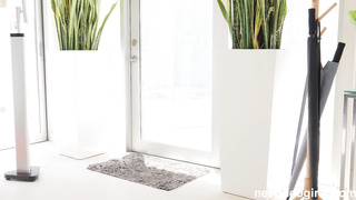 NetVideoGirls Paulina