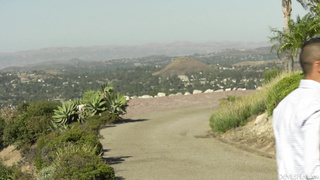 DevilsTGirls Angelina Please Transsexual Girlfriend Experience