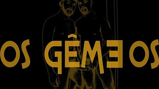 Gemeos trocando parceiros