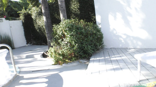 EvilAngel Jessica Fox &amp; Emma Rose / TS-On-TS: Jessica Fox Fucks Emma Rose!