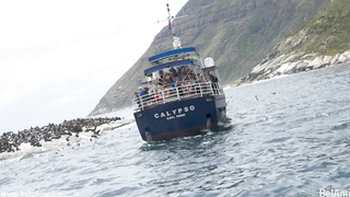 Nils and Yannis Oral Sex [810p]