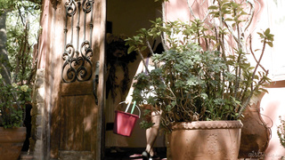 GirlsWay Kylie Rocket And Coco Lovelock Missed A Spot