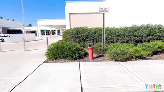 Bang YNGR Violet Reign