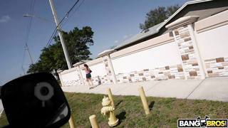 BangBus Harper Madison