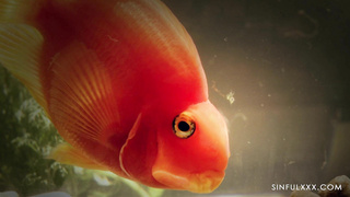 Sinful Veronica Leal