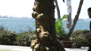 DrillMyHole Pranksters 13