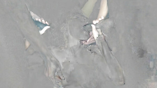 GangbangCreampie G Satine Summers Blowbang