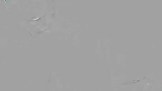 SexMex Helena Danae Teachers Favor