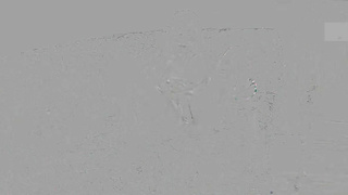 ATKExotics Sona Bella