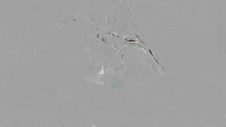 Bang Surprise Mimi Cica