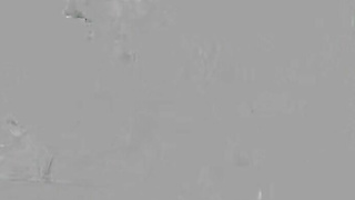 SweetSinner Kay Lovely Hush